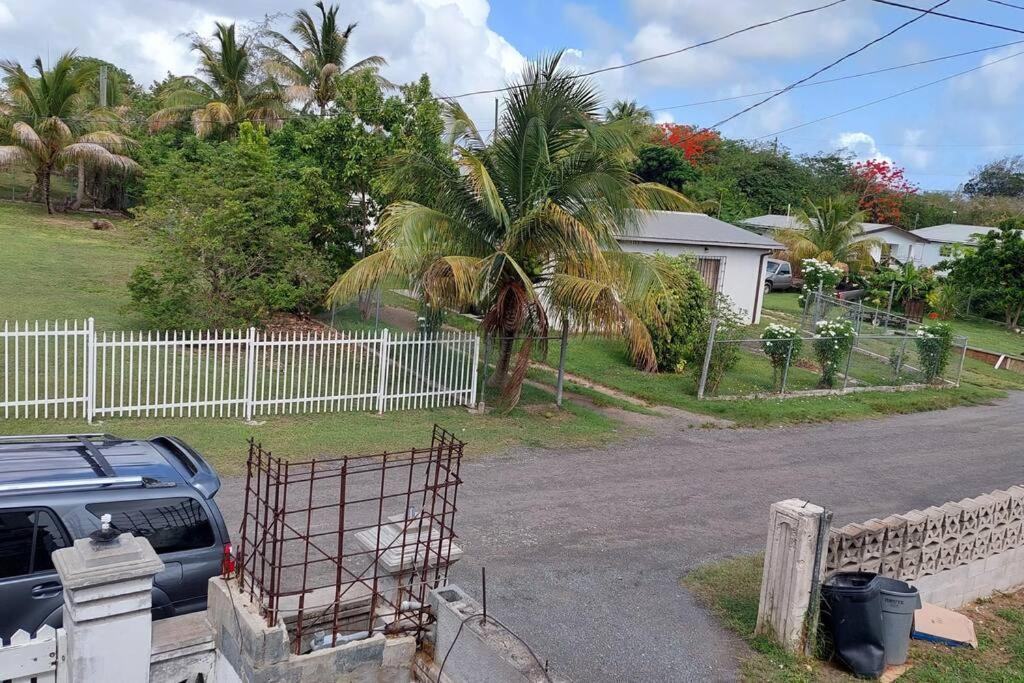 Conveniently Located, Quiet & Amp; Comfortable Christiansted Extérieur photo
